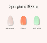 Springtime Blooms