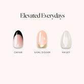 Elevated Everydays
