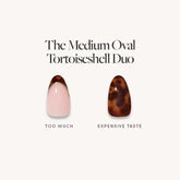 The Medium Oval Tortoiseshell Duo